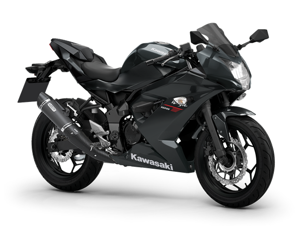 Ebony / Metallic Carbon Gray